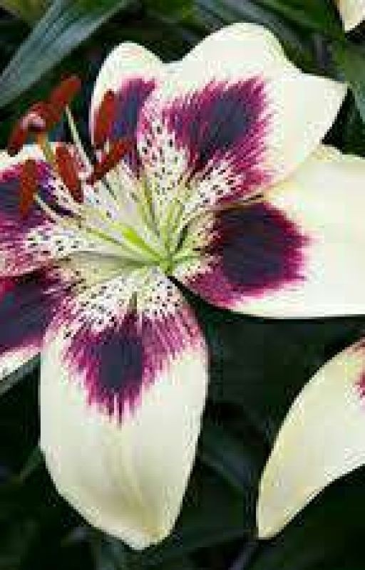 Жизнь не справедливая штука