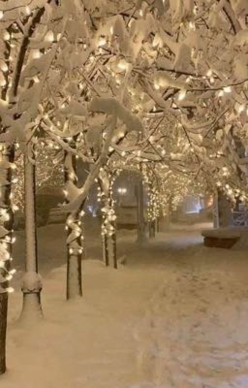 Слепец и его верная слуга