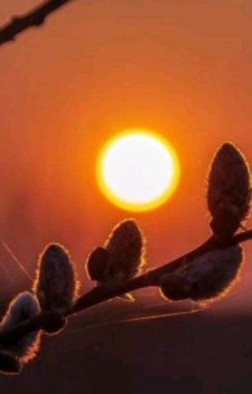 Школьная жизнь