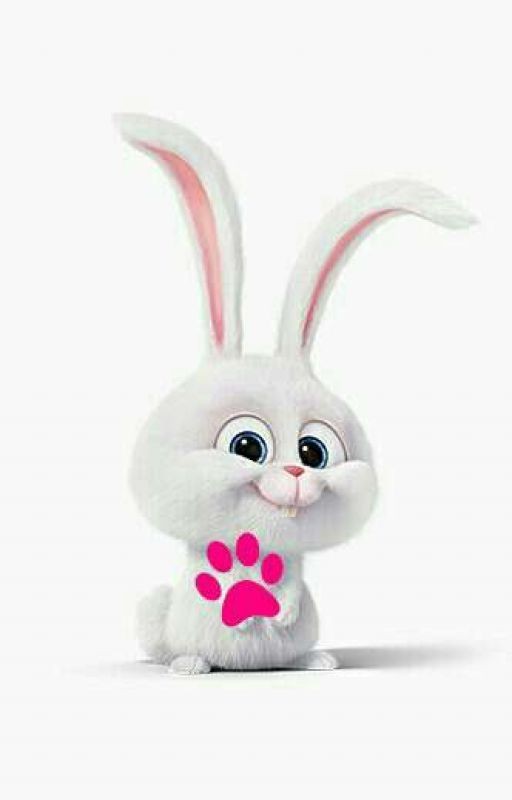 весёлая жизнь