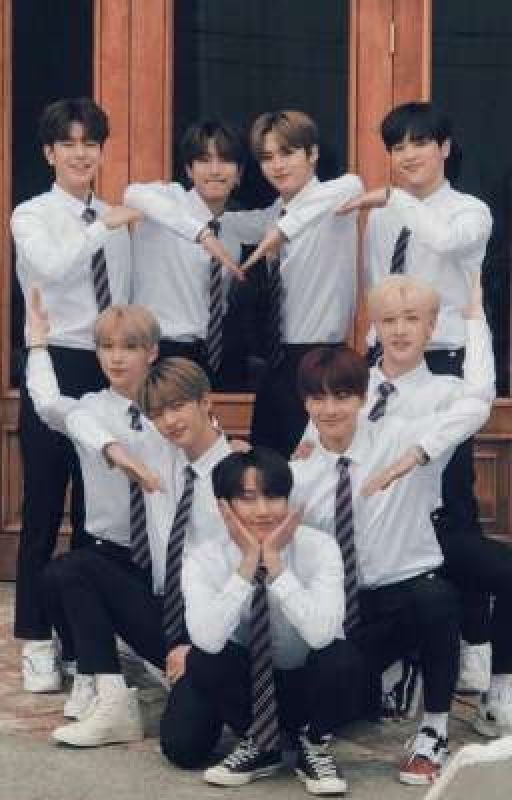 Жизнь Stray Kids
