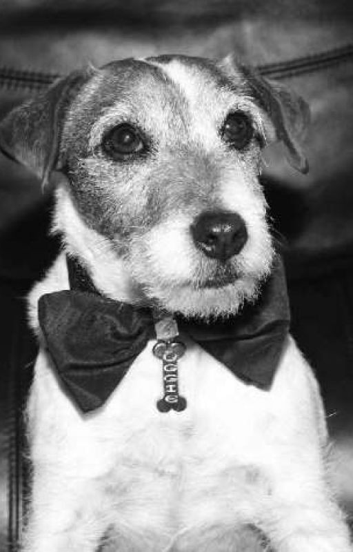 Угги. Моя жизнь