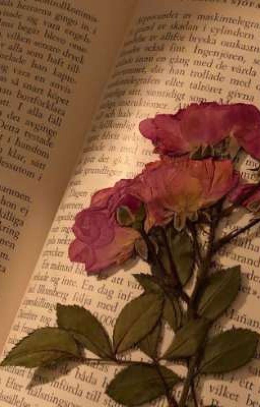 Т/и и жизнь в Бонтене