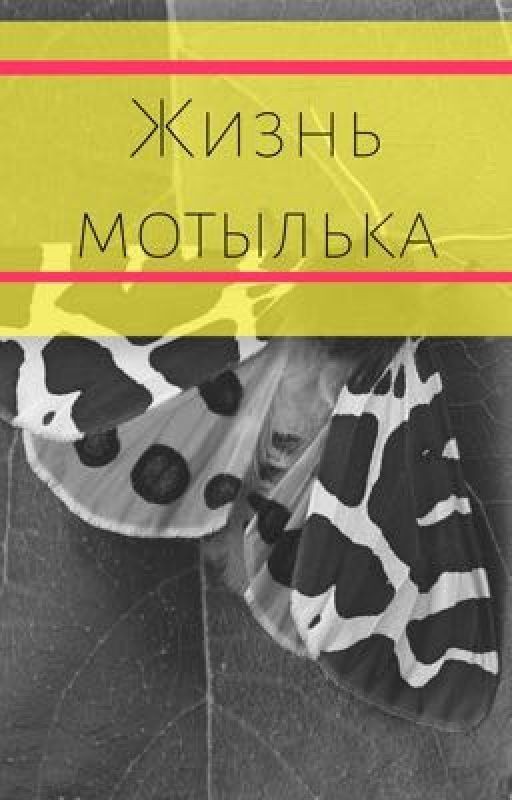 Жизнь мотылька