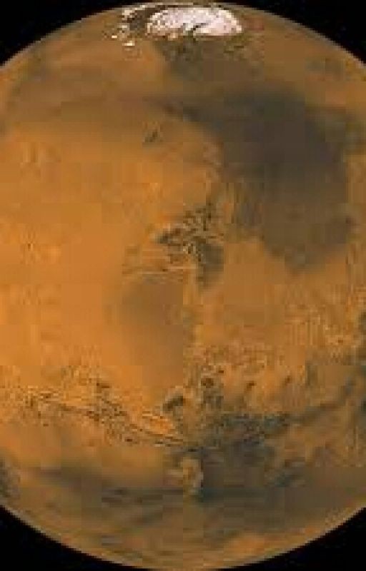 Жизнь будущего