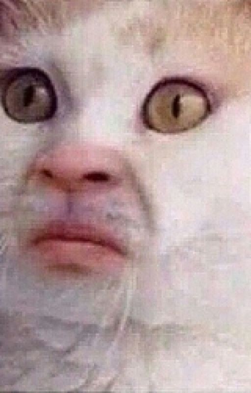 Начать новую жизнь