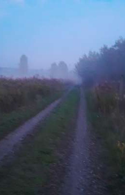 Кто Твоя Жизнь?