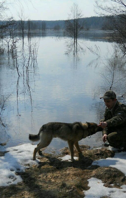 Моя (Чужая) Жизнь