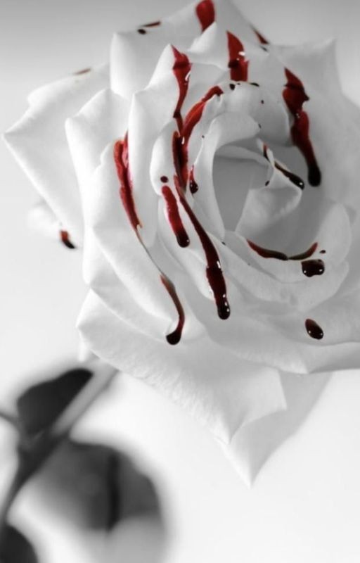 Окровавленные Розы