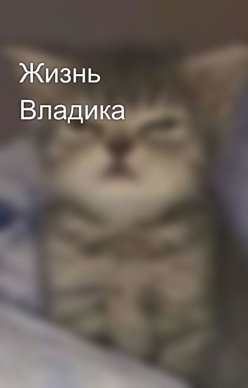 Жизнь Владика