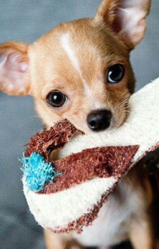 Я И Моя Жизнь