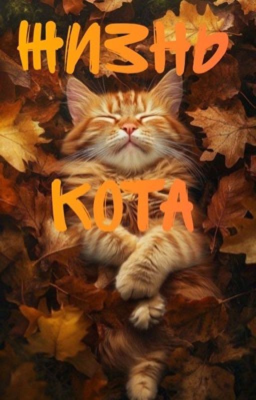ЖИЗНЬ КОТА