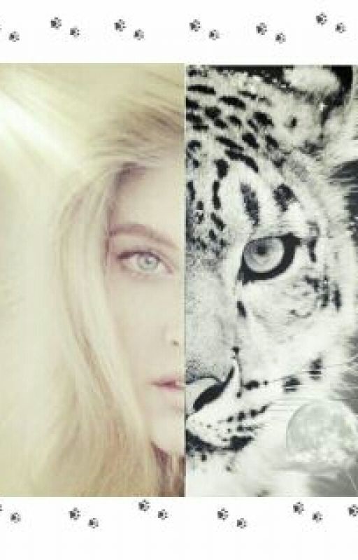 Жизнь одного барса