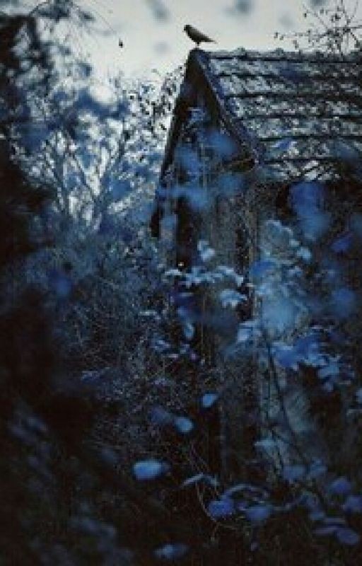 Новая Жизнь