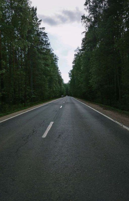 Дорога длинною в жизнь