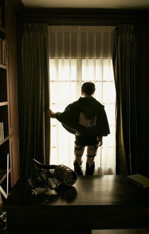 Атака титанов. Личная жизнь капитана Леви