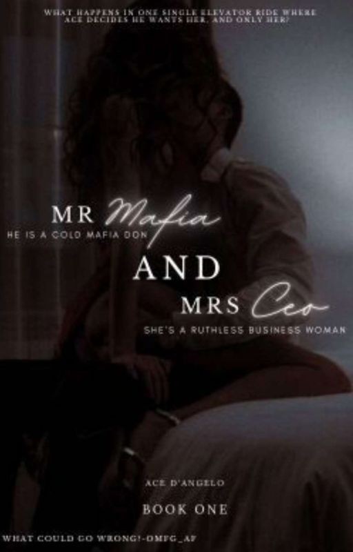 Мистер Мафия и Миссис Генеральный директор