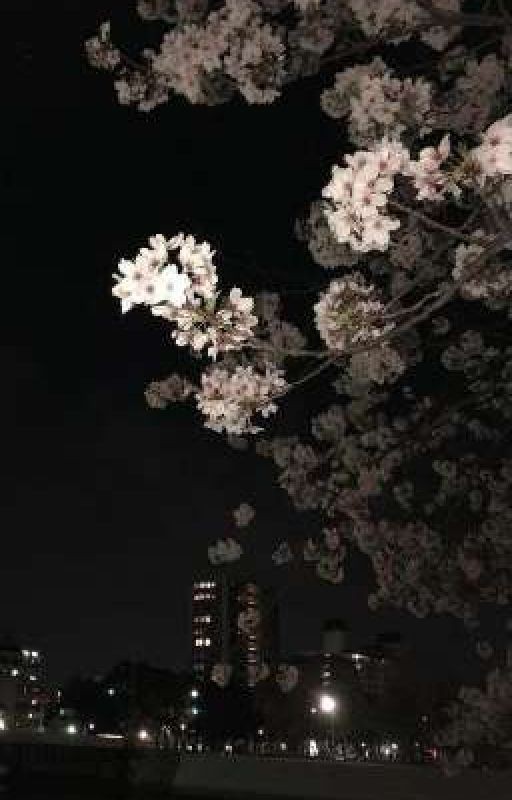 победитель забирает все