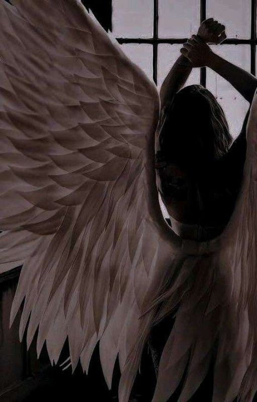 Почему именно мои?