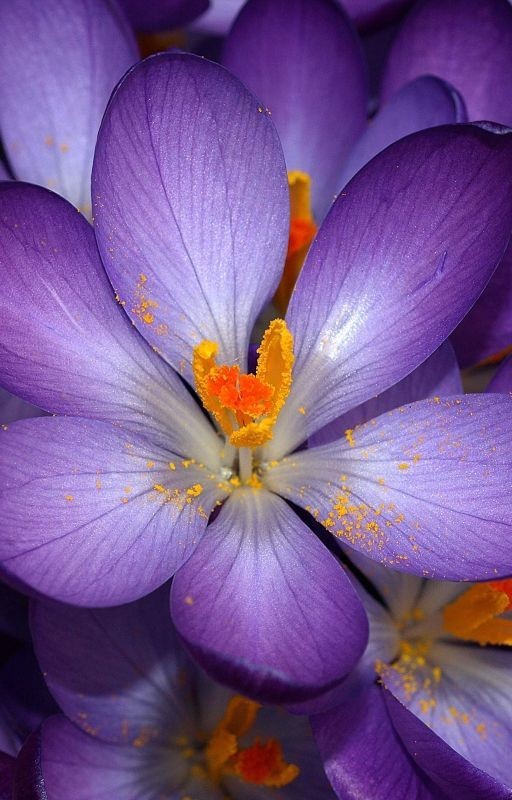 Советую к просмотру