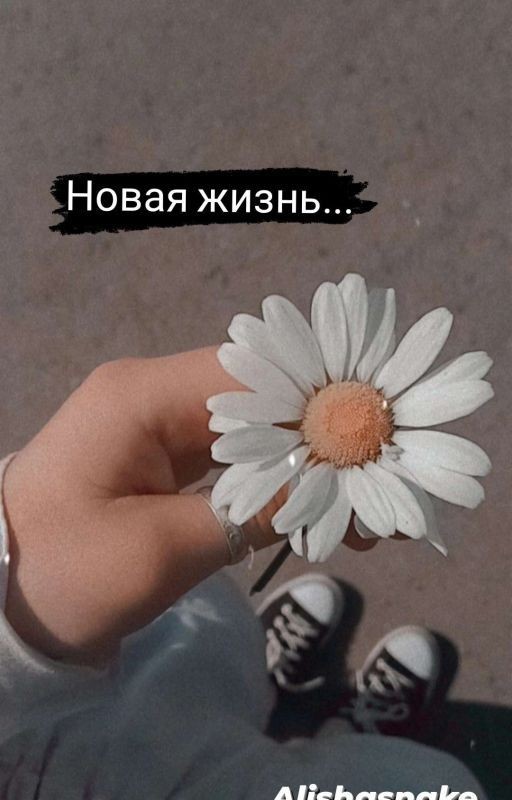 Новая жизнь