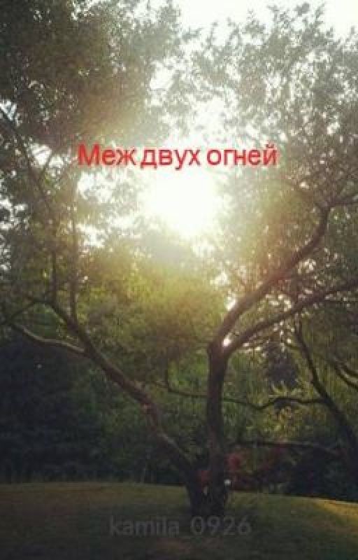 Меж двух огней
