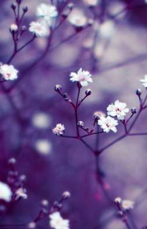 🌙Простая история🌙