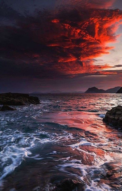 - Мой омега. - Мой альфа