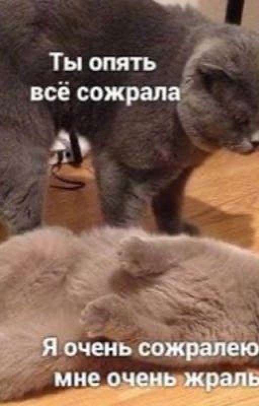 Сборник коротких анекдотов