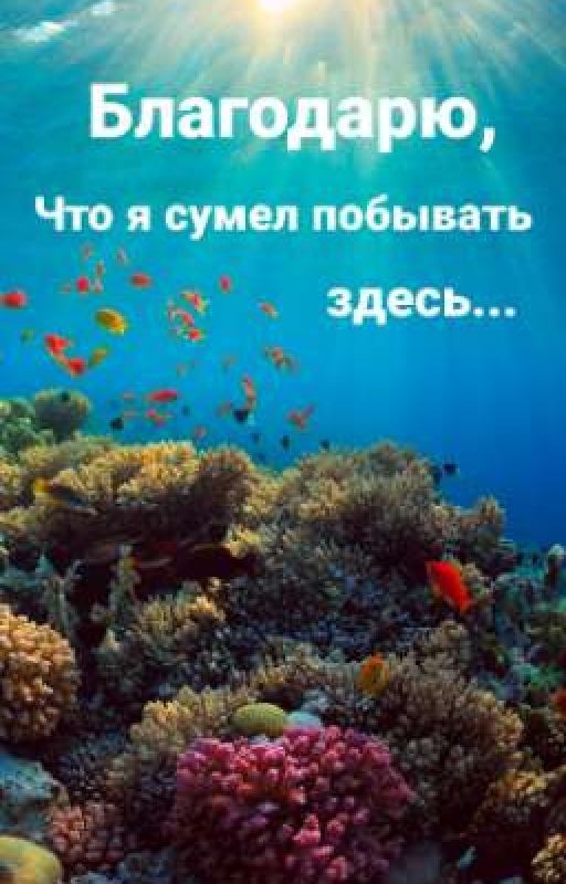 Благодарю, что я сумел побывать здесь