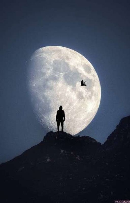 Стихотворения