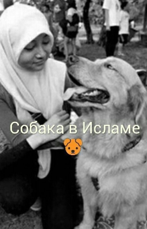 Собака в Исламе