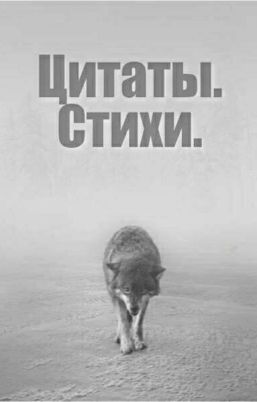 Цитаты. Стихи
