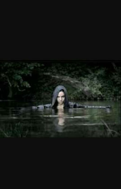 И тихий мой дом