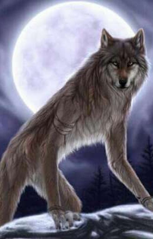 🐺 Он оборотень, и что? [ЗАВЕРШЕНО]🐺
