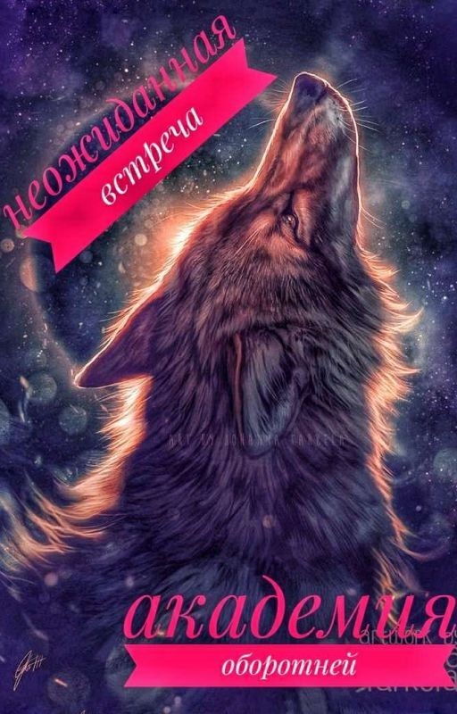 Неожиданная встреча. Академия оборотней