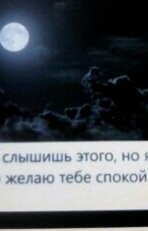 Кошачья Любовь ;)