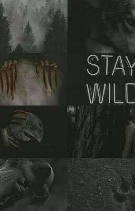Мой Wofl