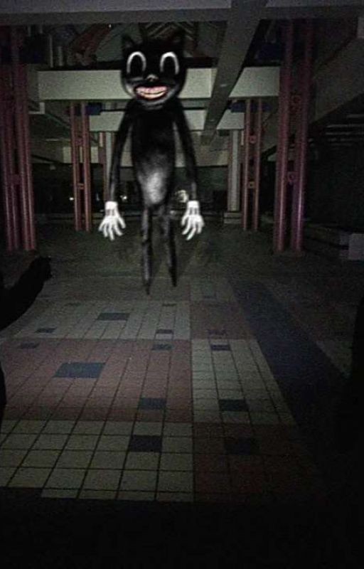 Cartoon Cat