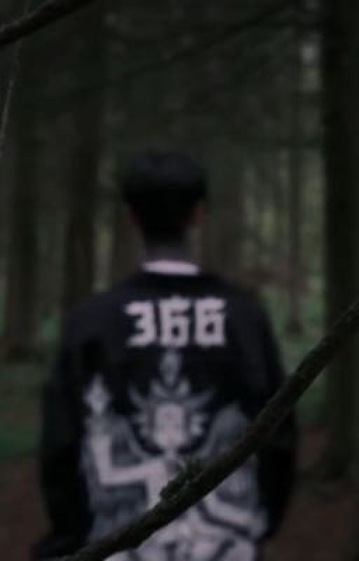 Навсегда 366