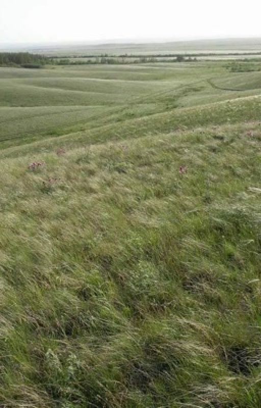 Равнина дружбы и любви