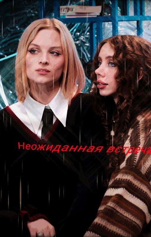 Неожиданная встреча