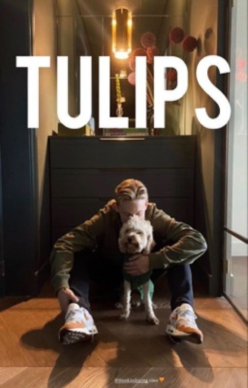 тюльпаны | frenkie de jong