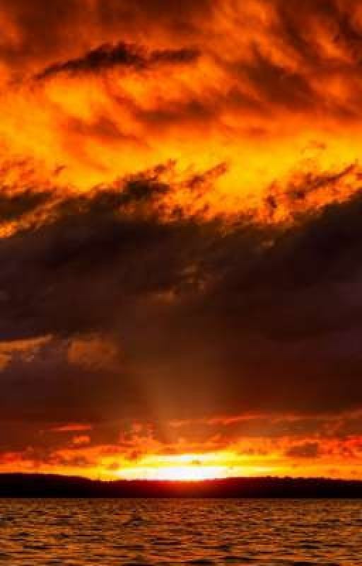 Разлука на года