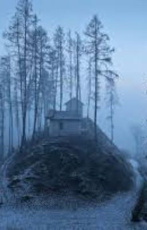 Холод