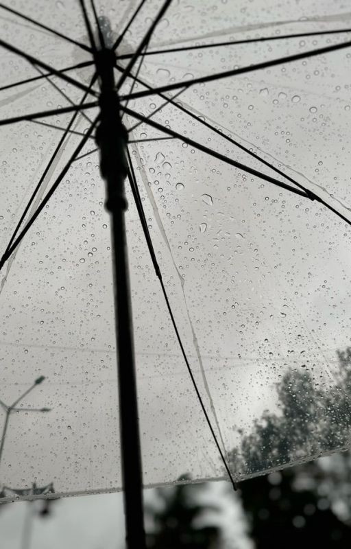 Страницы бесконечной любви