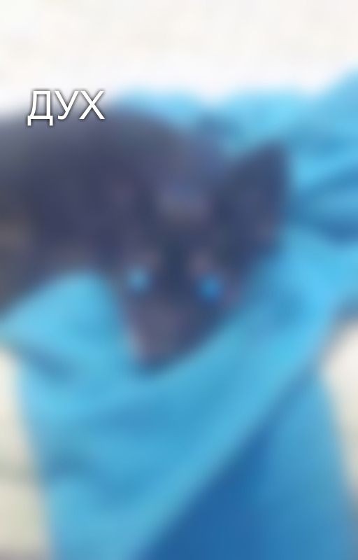 ДУХ