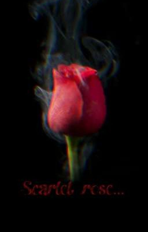 Scarlet rose... |VKOOK|