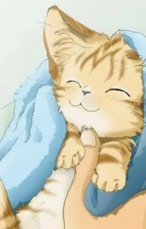 Кitten