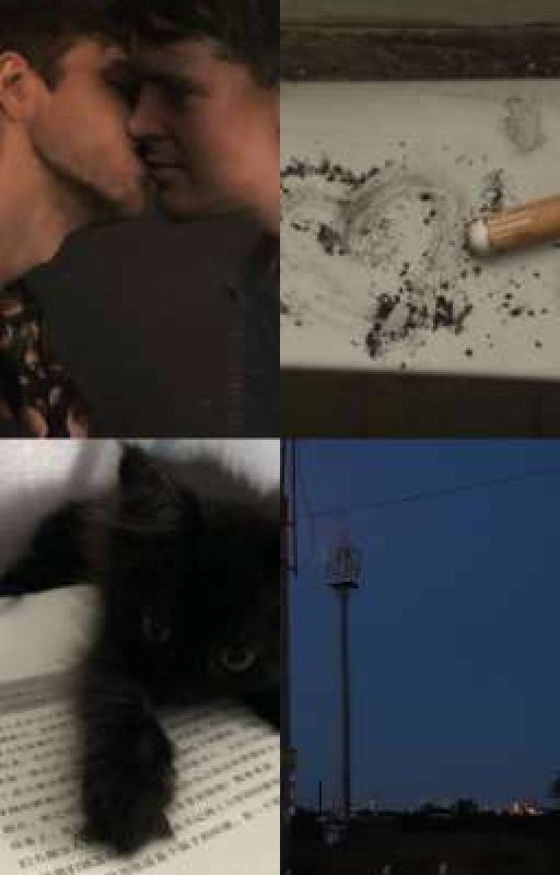 котёнок, школьник, и учитель